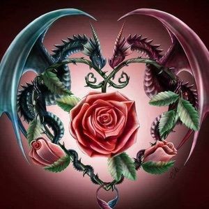 Meet your Posher, Reva